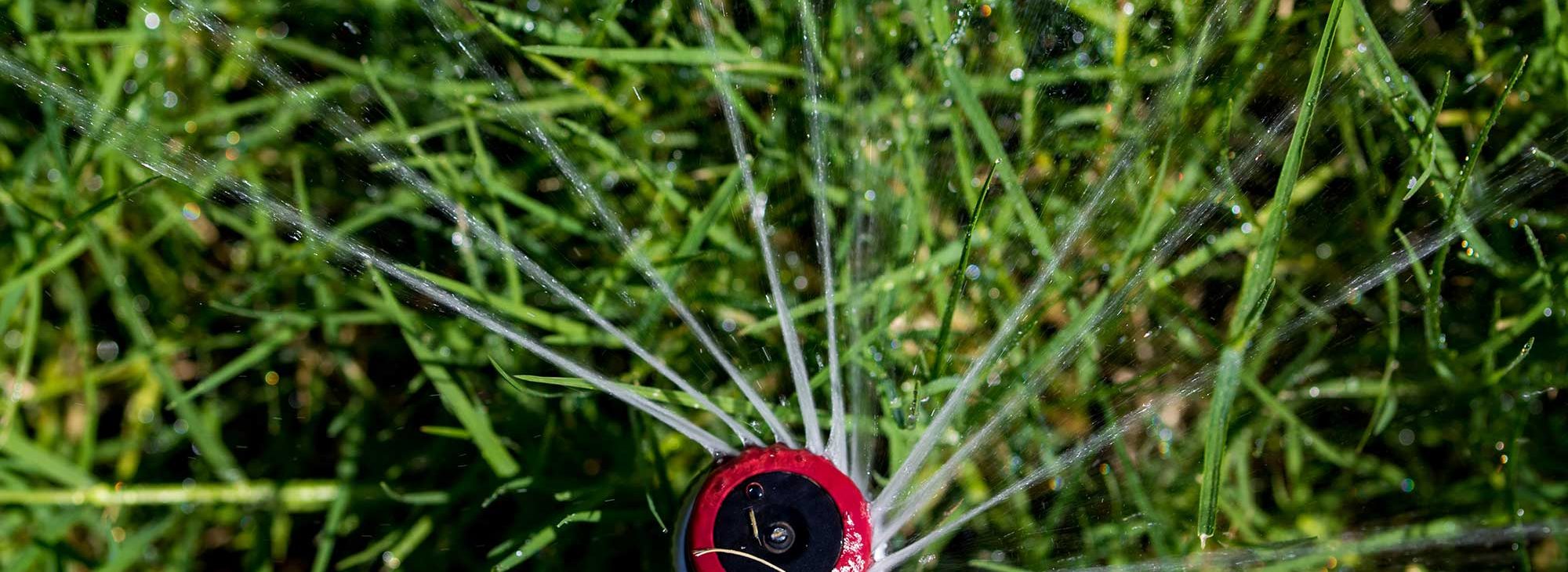 Dallas Irrigation AssociationBest Management Practices Dallas