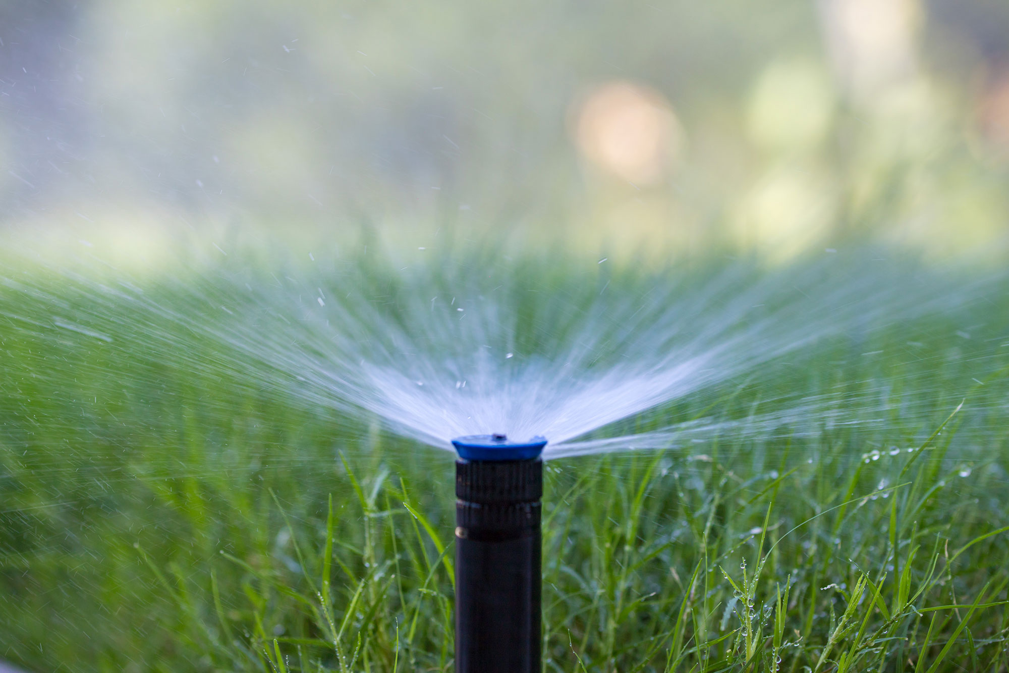 Dallas Irrigation AssociationIrrigation Association Dallas Irrigation